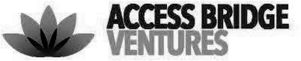 Access Bridge Ventures